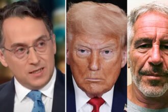 ‘It’s Horrific’: Trump Knew of ‘Grotesque Crime Against Minors,’ Legal Expert Says