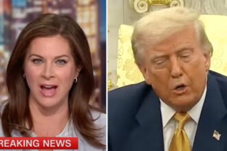 Watch: CNN Calls Out Trump’s Blatant Epstein Lie in Blistering Segment