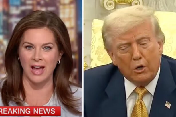 Watch: CNN Calls Out Trump’s Blatant Epstein Lie in Blistering Segment