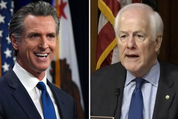 Gavin Newsom Ridicules John Cornyn Over Failed Attack on Texas Democrats
