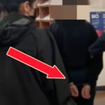 Watch: ICE Detains 71-Year-Old Grandmother, a U.S. Citizen, Volunteering for Migrants in San Diego Court