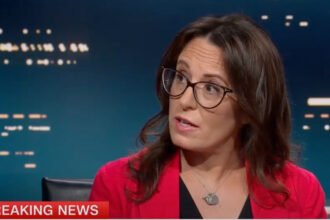 Maggie Haberman Says Trump's New Epstein 'Escape Hatch' Will Blow up in His Face