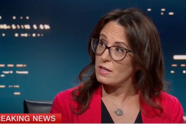 Maggie Haberman Says Trump's New Epstein 'Escape Hatch' Will Blow up in His Face