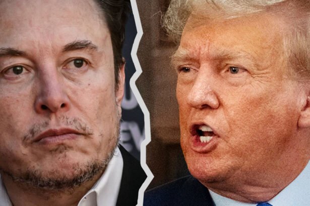 Frantic Trump Responds to ‘Train Wreck’ Elon For Going 'Off the Rails' as Feud Boils Over