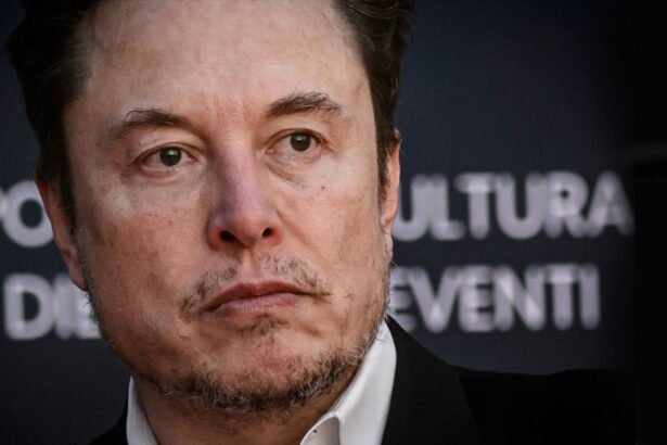 Musk Issues Dire Warning on the Real Danger Behind Trump’s Bill After Deportation Threat