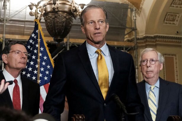'That’s Not Right': Trump’s Assault on Grassley Sparks Backlash from Senate Republicans