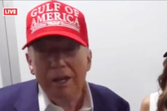 Awkward Moment: Trump Takes a Shot at Marjorie Taylor Greene—Right in Front of Her Boyfriend
