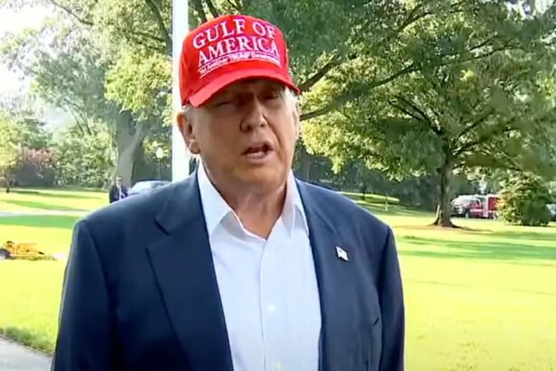 Trump Says He'd ‘Look at’ Deporting Elon Musk as Feud Escalates