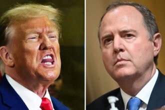 'THIEF!’: Frantic Trump Posts Alleged Adam Schiff Tax Doc, Demands Arrest for 'Fraud'