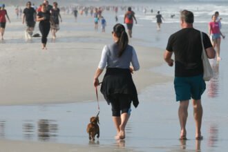 Rare Flesh-Eating Bug in Florida Water Kills 4