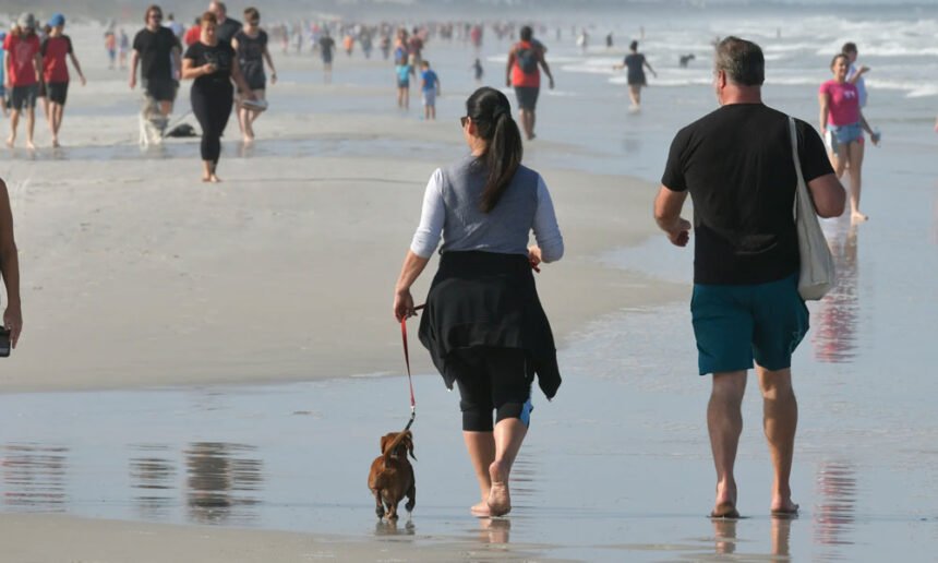 Rare Flesh-Eating Bug in Florida Water Kills 4