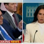 Trump DOJ Considering Prosecuting Obama Over ‘Treasonous Conspiracy’, Tulsi Gabbard Says