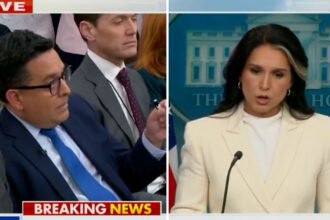 Trump DOJ Considering Prosecuting Obama Over ‘Treasonous Conspiracy’, Tulsi Gabbard Says