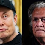 Elon Musk Just Threw Steve Bannon Into the Epstein Mess