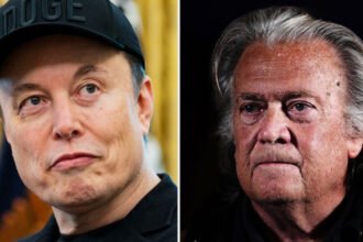 Elon Musk Just Threw Steve Bannon Into the Epstein Mess