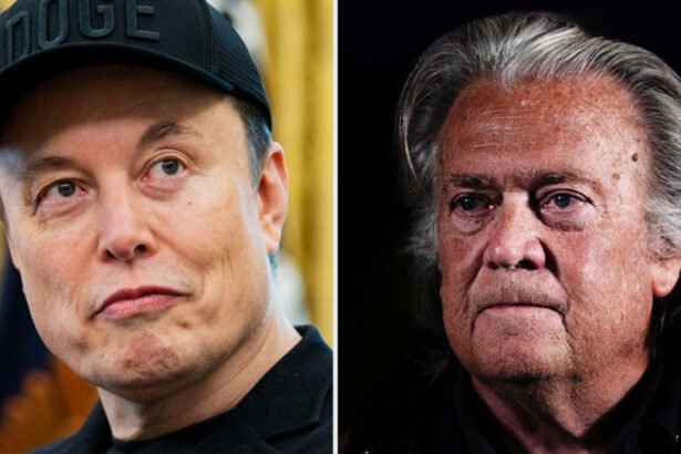 Elon Musk Just Threw Steve Bannon Into the Epstein Mess