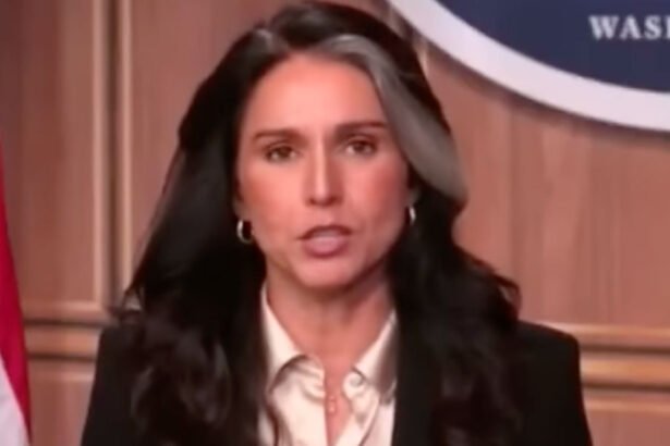 Tulsi Gabbard Says Obama Guilty of Treason for Disrupting Peaceful Transfer of Power