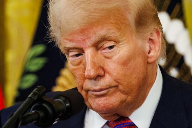 Third Court Blocks Trump Birthright Citizenship Order Nationwide After Supreme Court Ruling