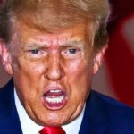 Trump in Full Panic, Claims All Epstein Files Are Fake, Created by Obama