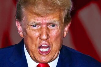 Trump in Full Panic, Claims All Epstein Files Are Fake, Created by Obama