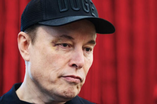 Has Anyone Seen Elon Musk Lately?
