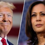 Did the NSA Audit the 2024 Election and Find Kamala Won? Here's What We Know