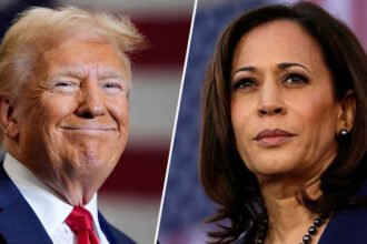 Did the NSA Audit the 2024 Election and Find Kamala Won? Here's What We Know