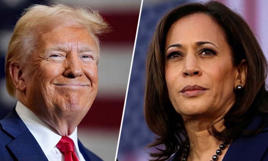 Did the NSA Audit the 2024 Election and Find Kamala Won? Here's What We Know