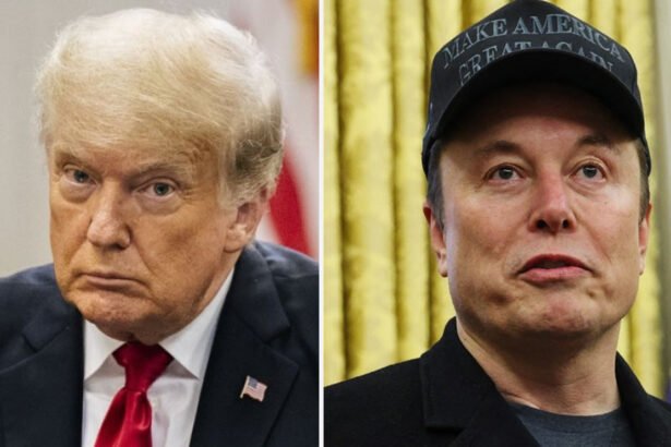 Trump Branded D.C.’s 'Most Notorious Criminal' by Elon Musk’s Grok AI Chatbot