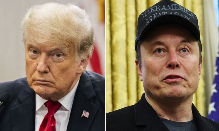 Trump Branded D.C.’s 'Most Notorious Criminal' by Elon Musk’s Grok AI Chatbot