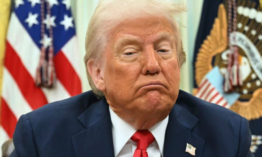 Trump Says He Didn’t Want to ‘Disrespect’ Putin—So He Paused Ukraine Meeting to Call Him