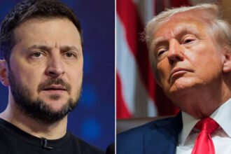 Zelenskyy Rejects Trump's Idea of Ceding Ukrainian Territory For Peace Deal