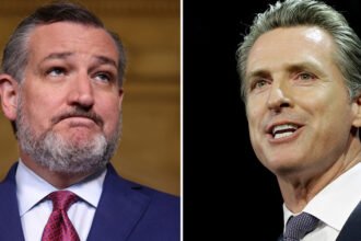 Newsom Destroys Cruz Over Math Blunder in Redistricting Fight