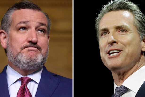 Newsom Destroys Cruz Over Math Blunder in Redistricting Fight