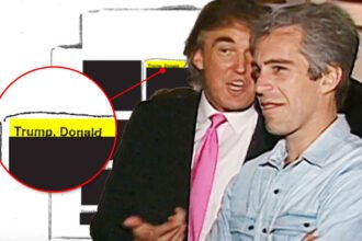 FBI Blacked Out Trump’s Name in Epstein Files in Clearer Sign of a Cover-Up: Report