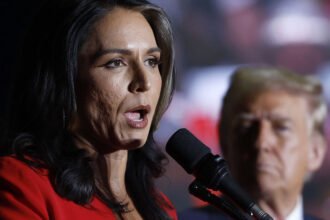 Intel Officials Sound Alarm: Gabbard Put U.S. Spies at Risk to Please Trump on Russia Report