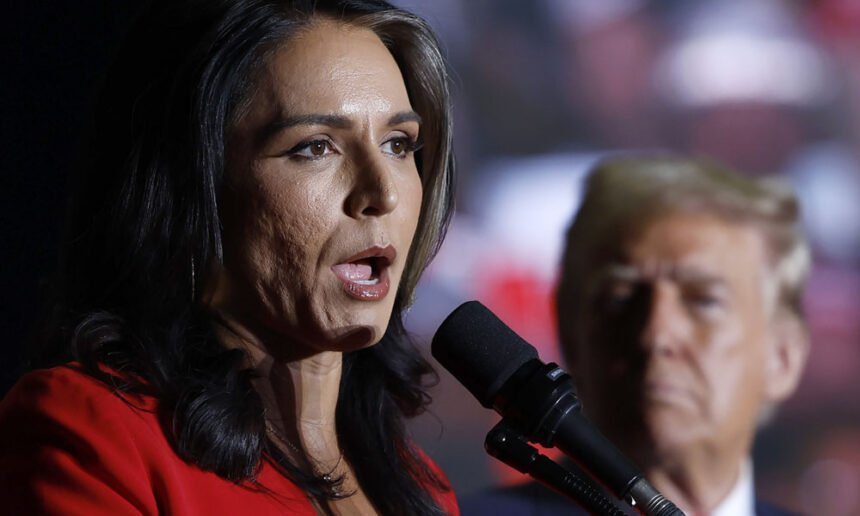 Intel Officials Sound Alarm: Gabbard Put U.S. Spies at Risk to Please Trump on Russia Report
