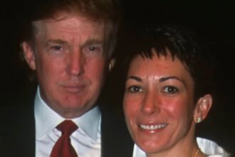 Outrage Erupts After Maxwell’s Shocking Claim 'Exonerates' Trump in Epstein Scandal