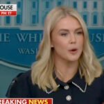 Karoline Leavitt Tries to Spin Trump’s Mental Fog, Fails Miserably