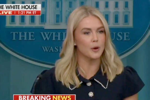 Karoline Leavitt Tries to Spin Trump’s Mental Fog, Fails Miserably
