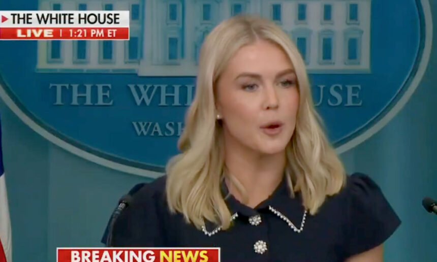 Karoline Leavitt Tries to Spin Trump’s Mental Fog, Fails Miserably