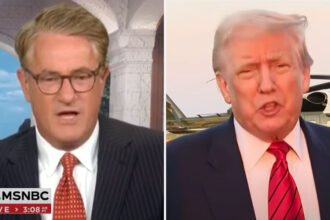 'Don't Hold Any Water': Joe Scarborough Wrecks Trump's Excuse for Firing Labor Stat Chief