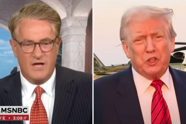 'Don't Hold Any Water': Joe Scarborough Wrecks Trump's Excuse for Firing Labor Stat Chief