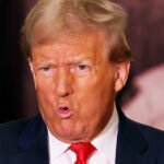 ‘Fired Loser’: Trump Blows Up at Media, Slams His Own Appointee Over Putin Meeting Criticism