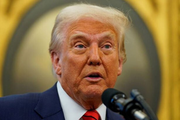 Federal Court Blocks Trump’s Fast-Track Deportations