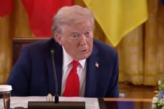 Watch: Disoriented Trump Looks for World Leader Who’s Right in Front of Him