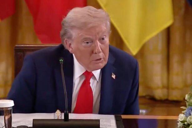 Watch: Disoriented Trump Looks for World Leader Who’s Right in Front of Him