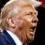 'This Is How Democracy Dies': Experts Sound The Alarm After Trump's unhinged Election Declaration