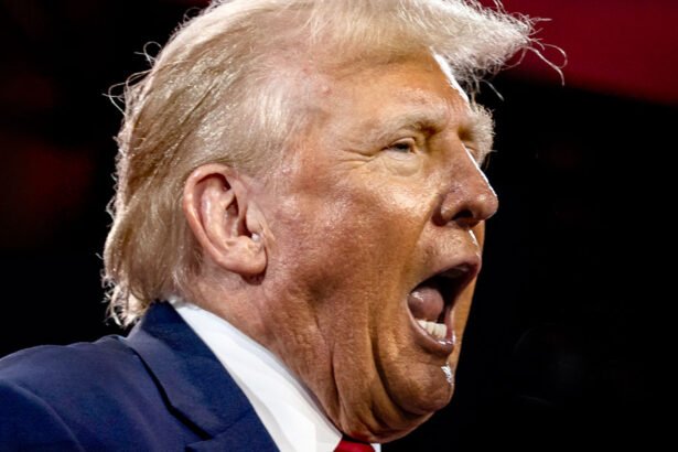 'This Is How Democracy Dies': Experts Sound The Alarm After Trump's unhinged Election Declaration