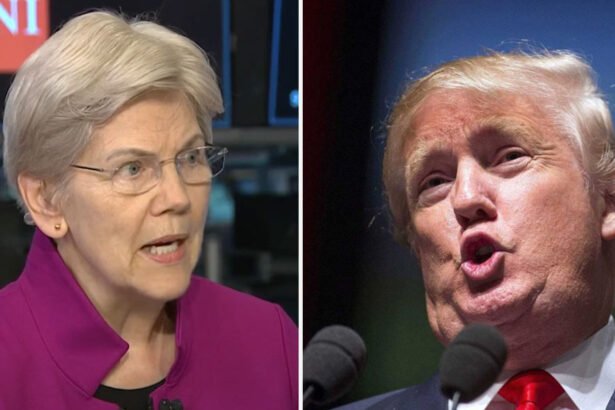 LOSER!: Trump Rages at 'NOT Indian' Elizabeth Warren Over Blistering CNBC Interview